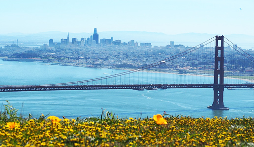 Moving companies in San Francisco, CA